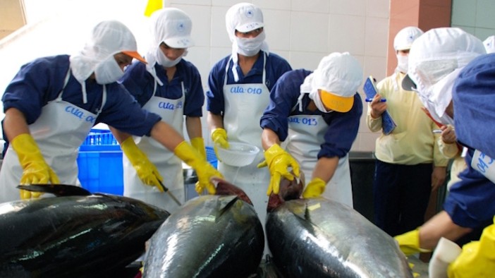 Gỡ khó cho doanh nghiệp xuất khẩu cá ngừ