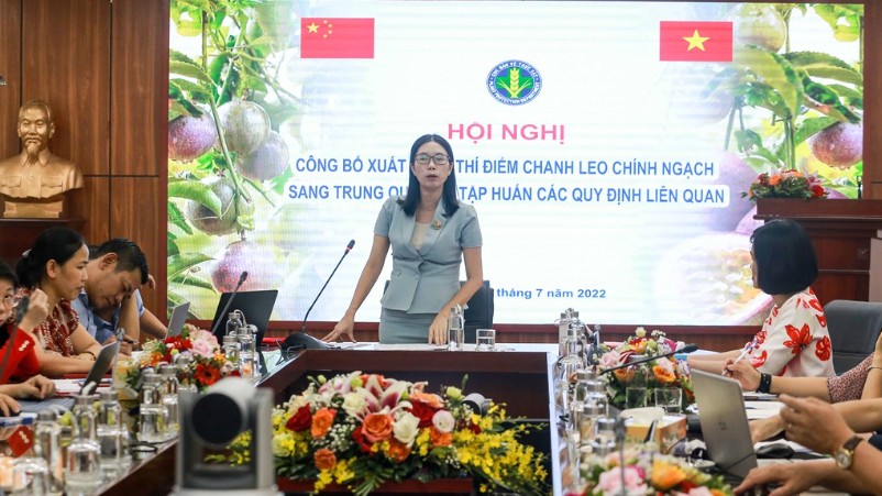 Trung Quốc sẽ nhập khẩu qua chanh leo tươi của Việt Nam qua 7 cửa khẩu