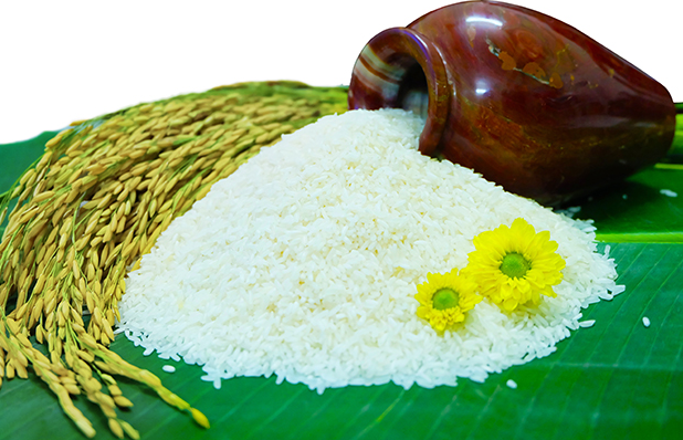 Giá lúa gạo hôm nay 9/7/2022: Giá gạo tăng 50 đồng/kg