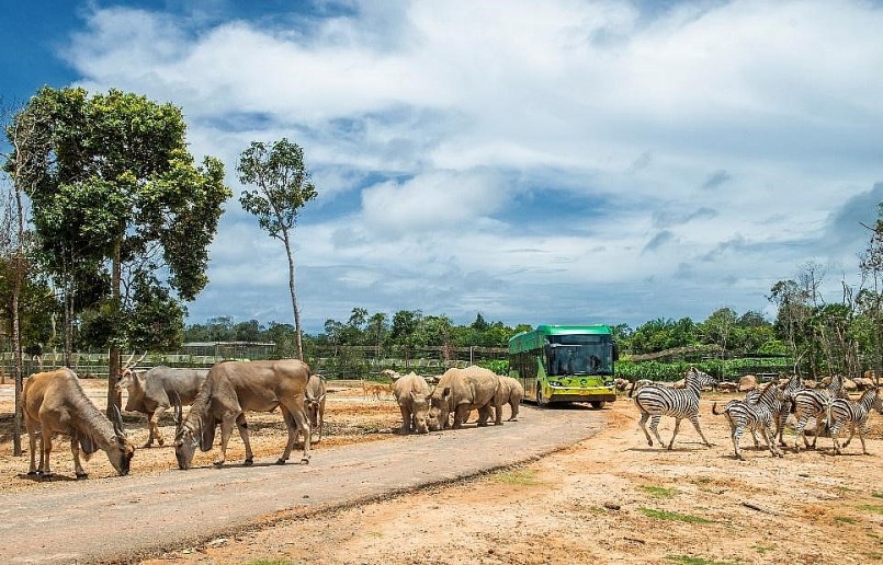 Hành trình tới “ngôi nhà” Vinpearl Safari của những cá thể quý hiếm nhất thế giới