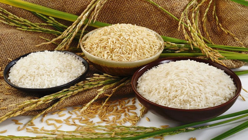Gạo là mặt hàng xuất khẩu của Việt Nam vào thị trường Bắc Âu bị kiểm tra nhiều nhất theo chương trình