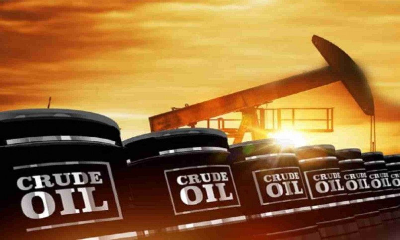 Giá xăng dầu hôm nay 25/7/2022: Dầu thô lấy lại đà tăng trưởng