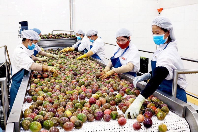 Trung Quốc đã đồng ý nhập khẩu thí điểm chanh leo Việt Nam 