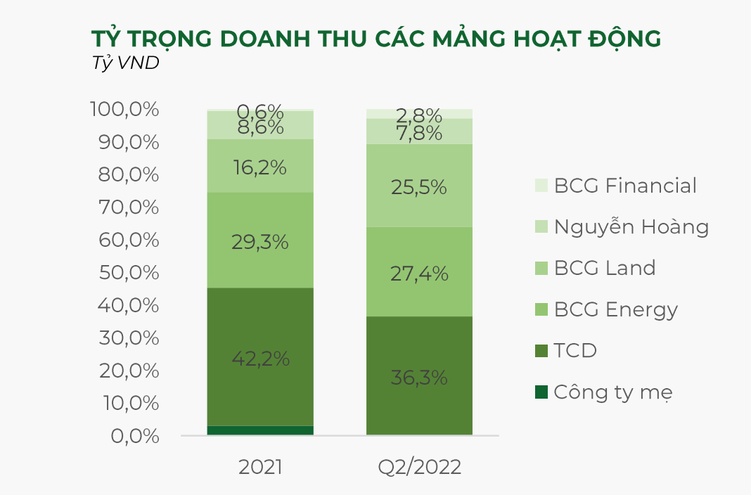 Bamboo Capital sẽ IPO BCG Land trong quý III/2022, tự tin hoàn thành kế hoạch năm