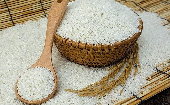 Giá lúa gạo hôm nay 22/8/2022: Không xuất hiện điều chỉnh