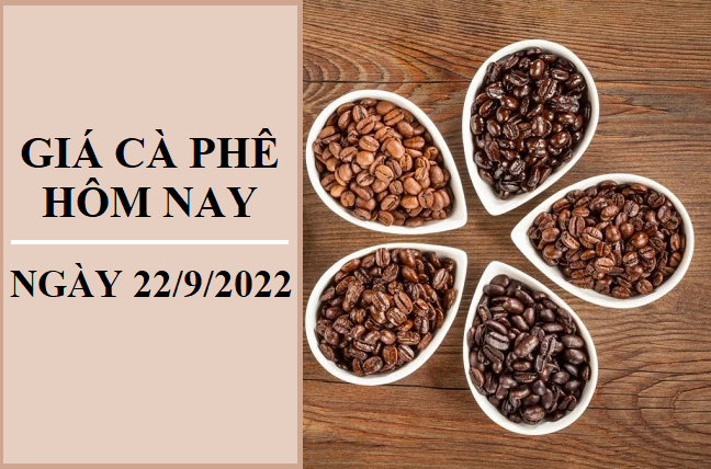 Giá cà phê hôm nay 22/9/2022: Không xuất hiện điều chỉnh mới