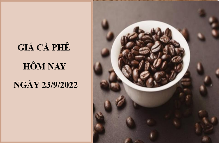Giá cà phê hôm nay 23/9/2022: Đảo chiều tăng nhẹ