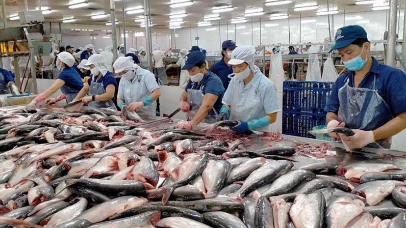 Việt Nam là nhà cung cấp thủy sản lớn thứ hai cho Thụy Sỹ