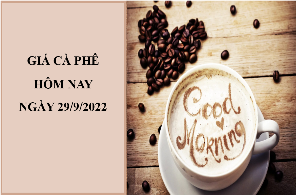 Giá cà phê hôm nay 29/9/2022: Đảo chiều tăng nhẹ