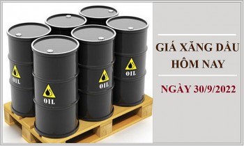 Giá xăng dầu hôm nay 30/9/2022: Dầu thô lấy lại đà tăng