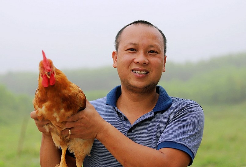 Anh Nhàn khởi nghiệp bằng cách xây trang trại nuôi gà ri Hòa Bình.