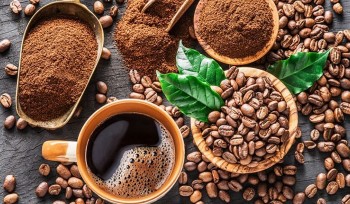 Tin vui cho người trồng cà phê, giá tăng mạnh, năng suất cao ngất ngưởng