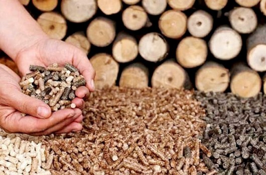 Viên nén gỗ, tận dụng 'đồ bỏ' tạo cơ hội kiếm tỷ đô xuất khẩu