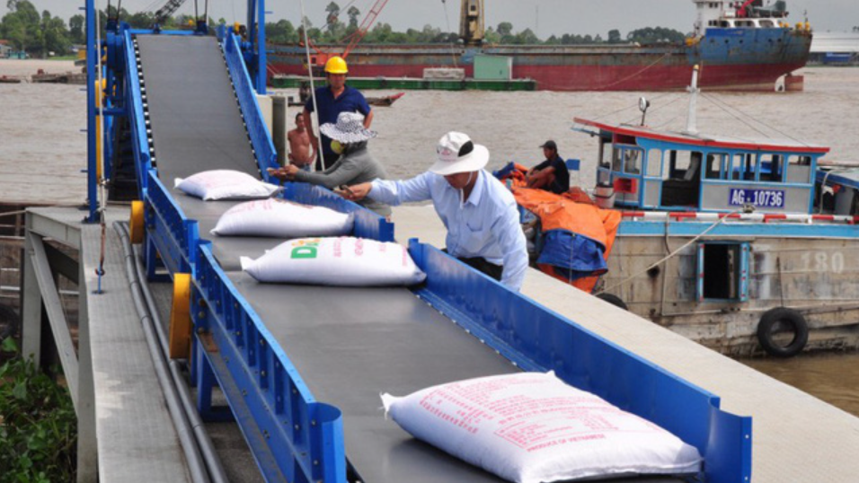 Kết thúc 10 tháng, xuất khẩu gạo của Việt Nam đạt khoảng 6 triệu tấn