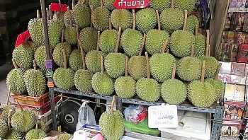 Ngon hơn Musang King, sầu riêng Kanyao đắt nhất thế giới 15 triệu đồng/quả vẫn được giới nhà giàu “săn lùng”