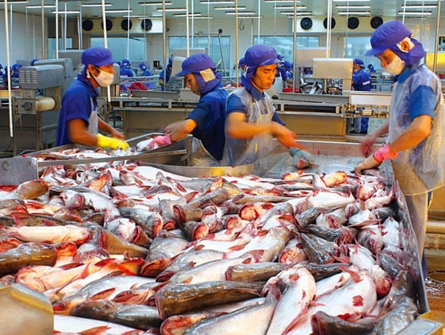 Xuất khẩu cá tra sang Trung Quốc tăng trưởng đột phá