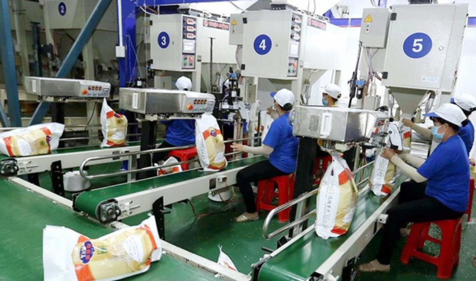 Siết nhập khẩu gạo có thể giảm tính cạnh tranh của hàng hoá