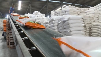 Xuất khẩu gạo thu về trên 3,23 tỷ USD sau 11 tháng