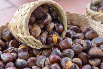 Thứ hạt xưa ăn cho vui, nay đem chế biến thành loại bánh “đặc sản” vạn người mê