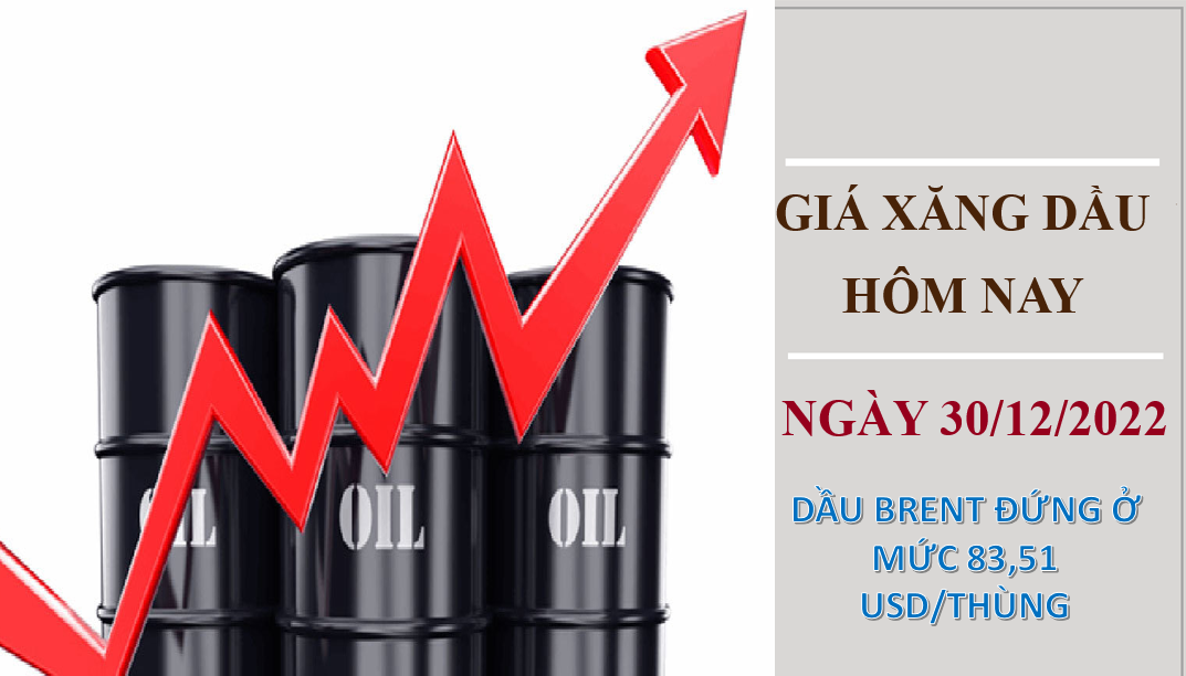 Giá xăng dầu hôm nay 30/12/2022: Giá dầu thô lấy lại đà tăng