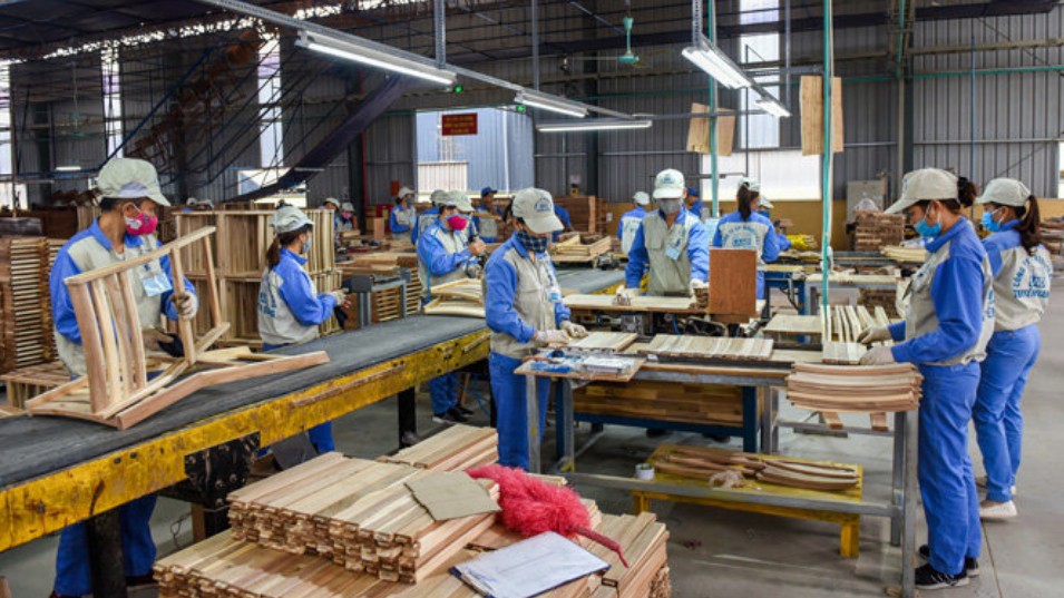 Xuất khẩu gỗ và sản phẩm gỗ năm 2022 đạt gần 16 tỷ USD