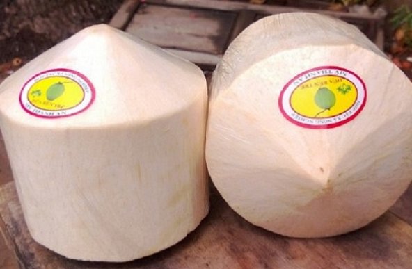 Xuất khẩu dừa tươi sang Hoa Kỳ phải tiến hành phân tích nguy cơ dịch hại