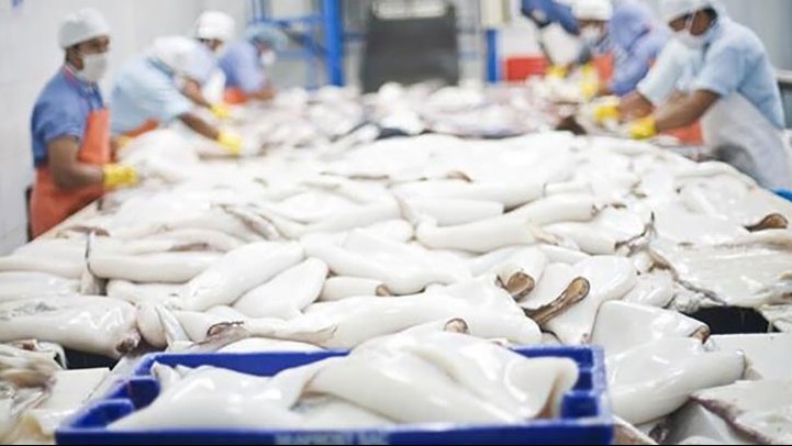 Xuất khẩu mực, bạch tuộc năm 2023 dự kiến tăng khoảng 15%