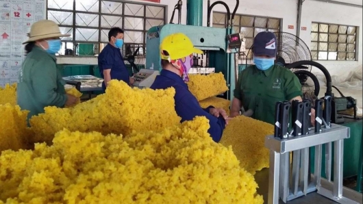 Xuất khẩu cao su tăng mạnh trong tháng 2