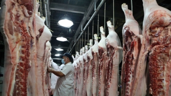 Lào tạm dừng nhập khẩu thịt lợn từ Việt Nam