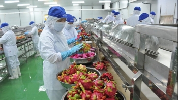 Giám sát, kiểm tra doanh nghiệp xuất khẩu nông sản sang Trung Quốc