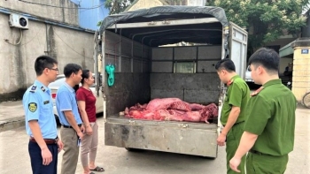 Hưng Yên: Ngăn chặn kịp thời 230kg thịt lợn 