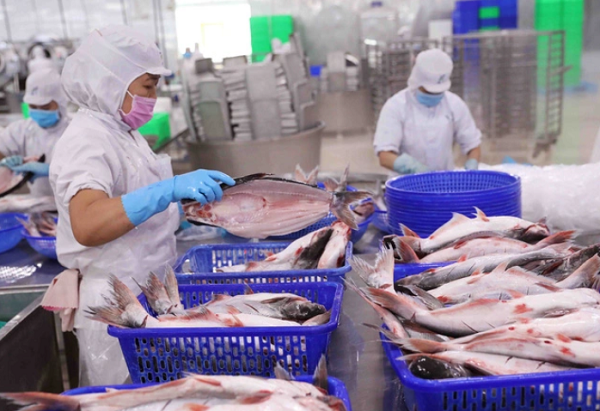 Quý I/2023, xuất khẩu thủy sản Việt Nam sang thị trường Trung Quốc vẫn giảm 27% so với cùng kỳ năm ngoái