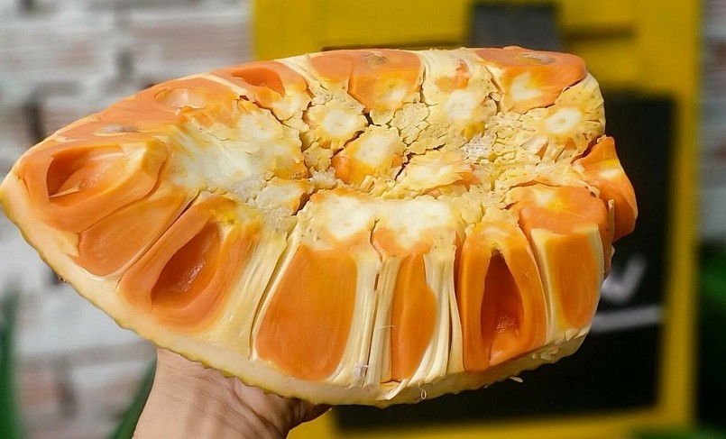 Mít ruột đó có thời điểm giá trên 100 nghìn đồng/kg, lúc chính vụ cũng có giá trên dưới 40 nghìn đồng/kg.