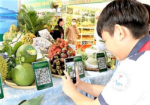 Hưng Yên đẩy mạnh việc cấp mã số vùng trồng cây ăn quả phục vụ xuất khẩu