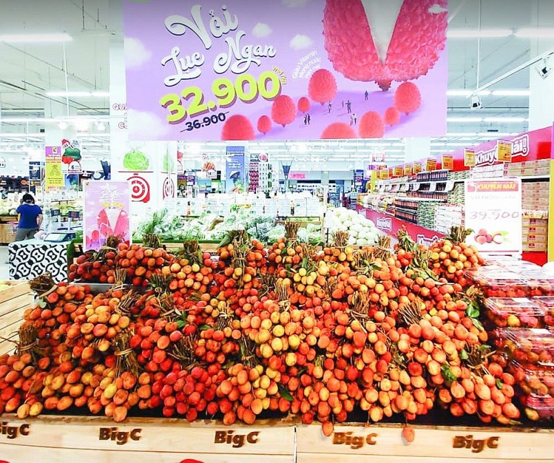 Vải u trứng trắng Thanh Hà được đặt mua với giá 100.000 đồng/kg