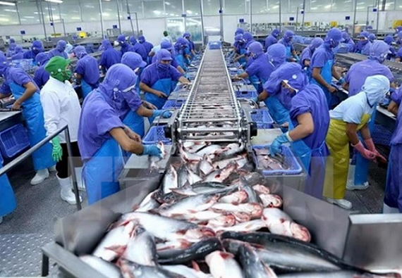 xuất khẩu thủy sản Việt Nam tới hết tháng 7/2023 đạt gần 5 tỷ USD
