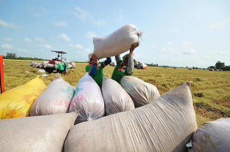 Tăng cường phát triển thị trường xuất khẩu gạo, bình ổn thị trường trong nước