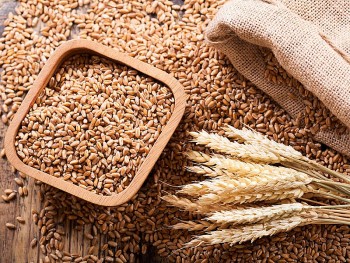 Việt Nam nhập khẩu lúa mì nhiều nhất từ thị trường Australia