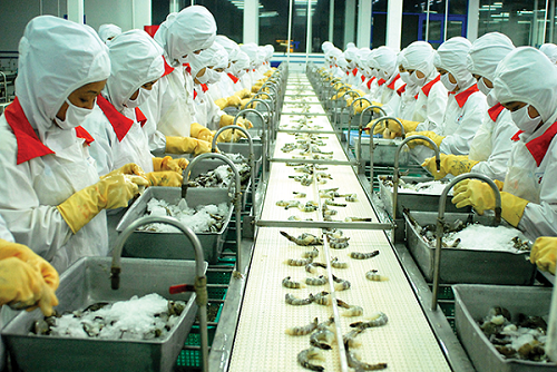 Xuất khẩu tôm sang Mỹ và Trung Quốc đang “ấm dần”