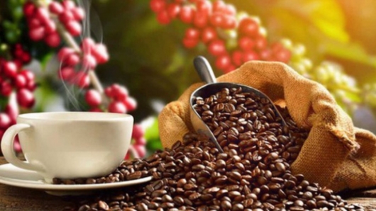 Giá nông sản hôm nay 16/9:  Cà phê biến động đà tăng chi phối, hồ tiêu rời ngưỡng 73.500 đồng/kg