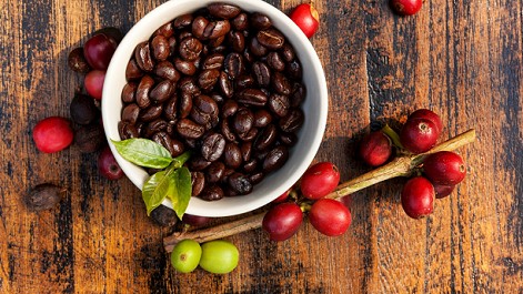 Giá nông sản hôm nay 22/9: Cà phê lao dốc ngập sắc đỏ, hồ tiêu ổn định chưa thể vượt mức 72.500 đồng/kg