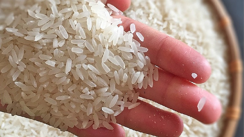 8 loại gạo Việt ngon được người tiêu dùng lựa chọn
