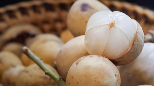 Văn phòng SPS Việt Nam thông tin về 10kg quả bòn bon bị cảnh báo tại Iceland