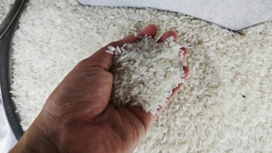 Bất chấp giá gạo thế giới giảm mạnh, gạo xuất khẩu của Việt Nam vẫn neo ở mức cao