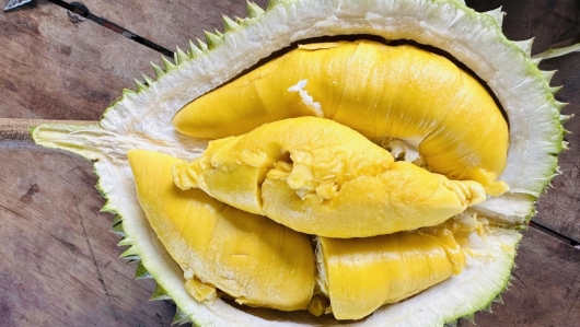 Sầu riêng Musang King “made in Việt Nam” có giá thấp nhất từ trước đến nay