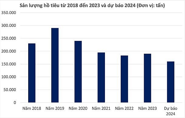 Giá tiêu trong nước được dự báo chạm mốc 90.000 đồng/kg vào đầu năm 2024
