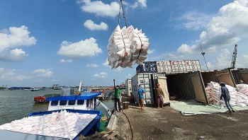 10 tháng năm 2023, Việt Nam đang bán gạo cho thị trường nào nhiều nhất?