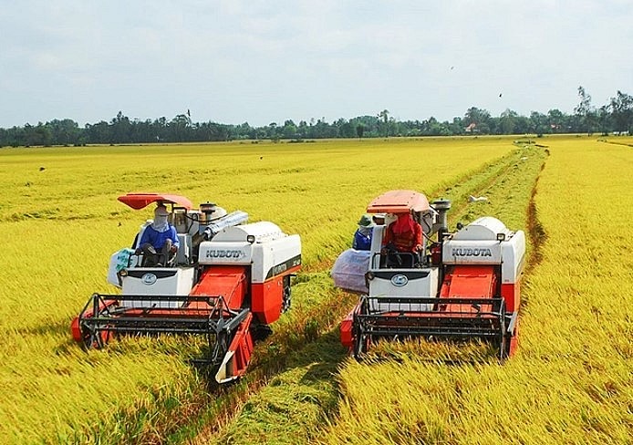 Giá lúa gạo tiếp tục tăng, thị trường giao dịch chậm
