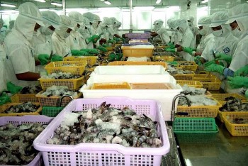 Xuất khẩu thủy sản tháng 11 đạt gần 840 triệu USD