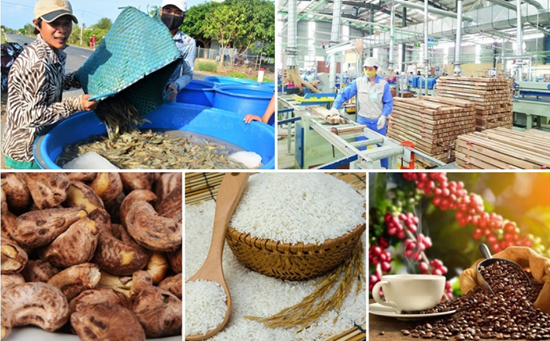 6 nhóm sản phẩm đạt giá trị xuất khẩu trên 3 tỷ USD